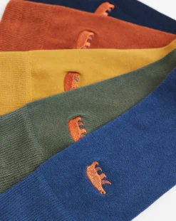 Jacamo 5 Pack Bear Embroidered Socks