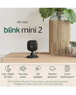 Blink Mini 2 - 1 Cam -