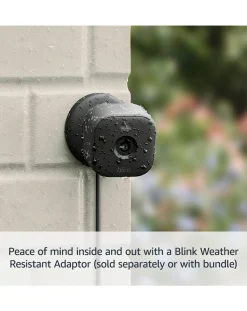 Blink Mini 2 - 1 Cam -