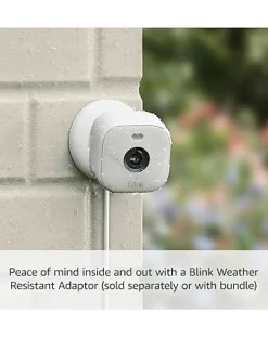 Blink Mini 2 - 1 Cam -