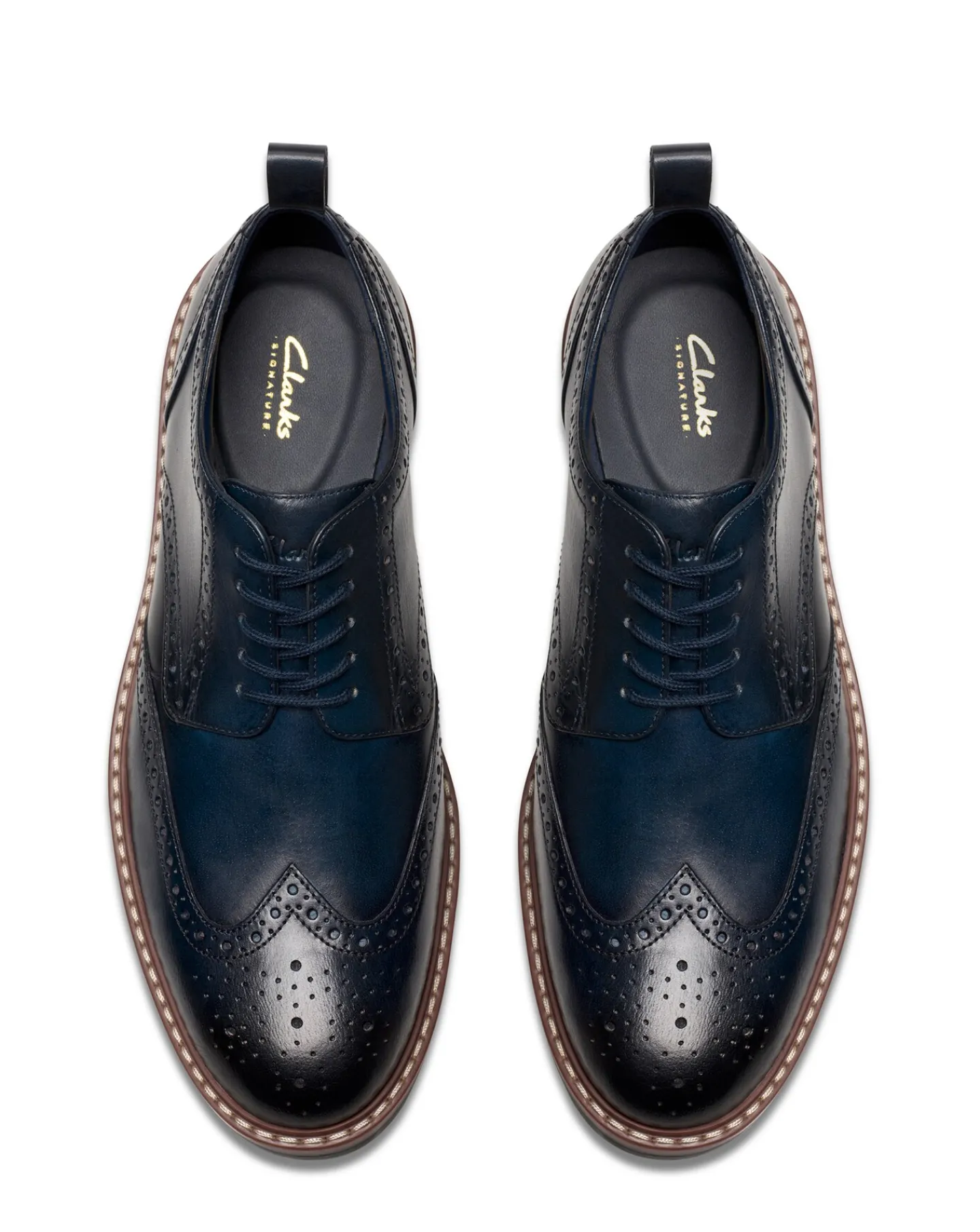 Clarks Aldwin Limit Shoes