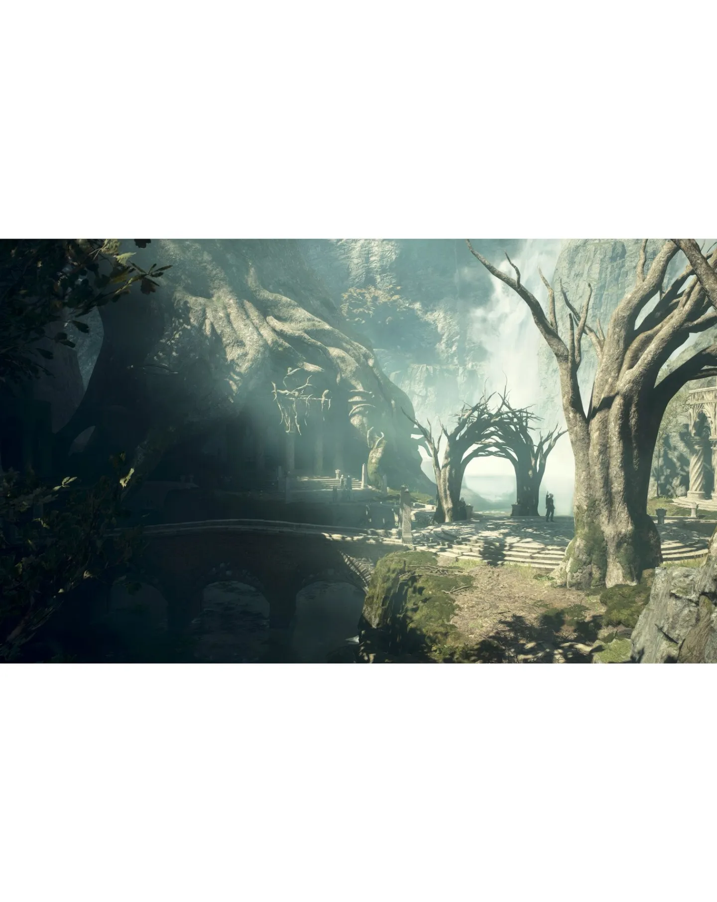 Playstation Dragon's Dogma II (PS5)