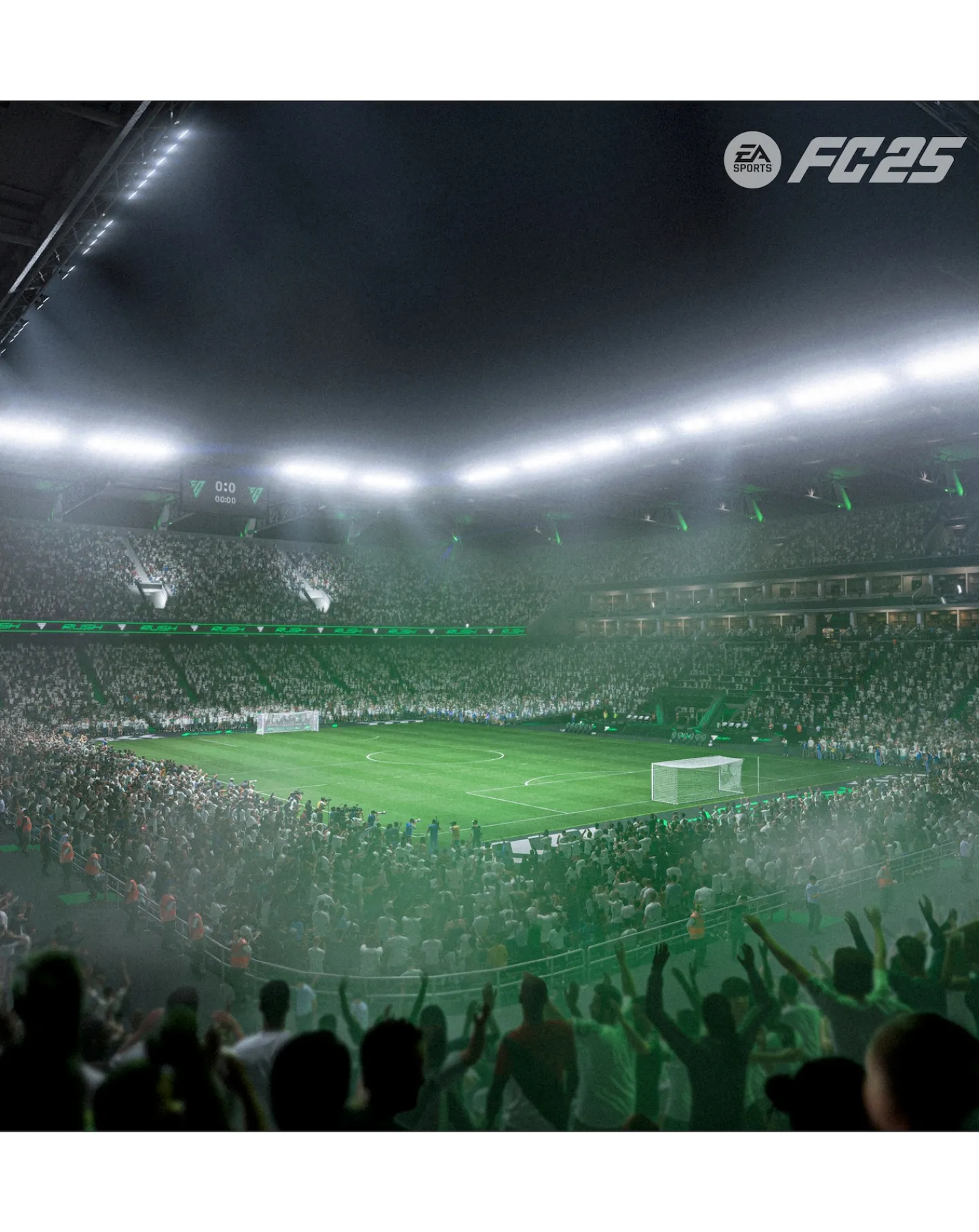 Nintendo EA Sports FC 25 ( Switch)