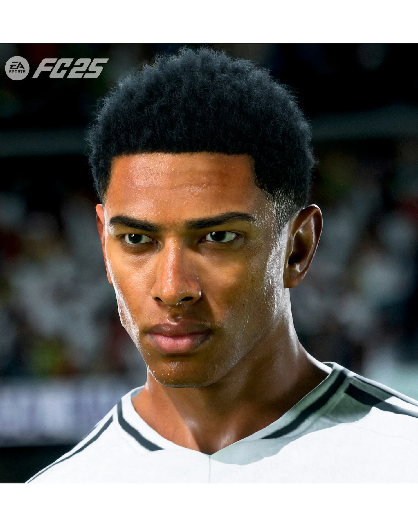 Nintendo EA Sports FC 25 ( Switch)