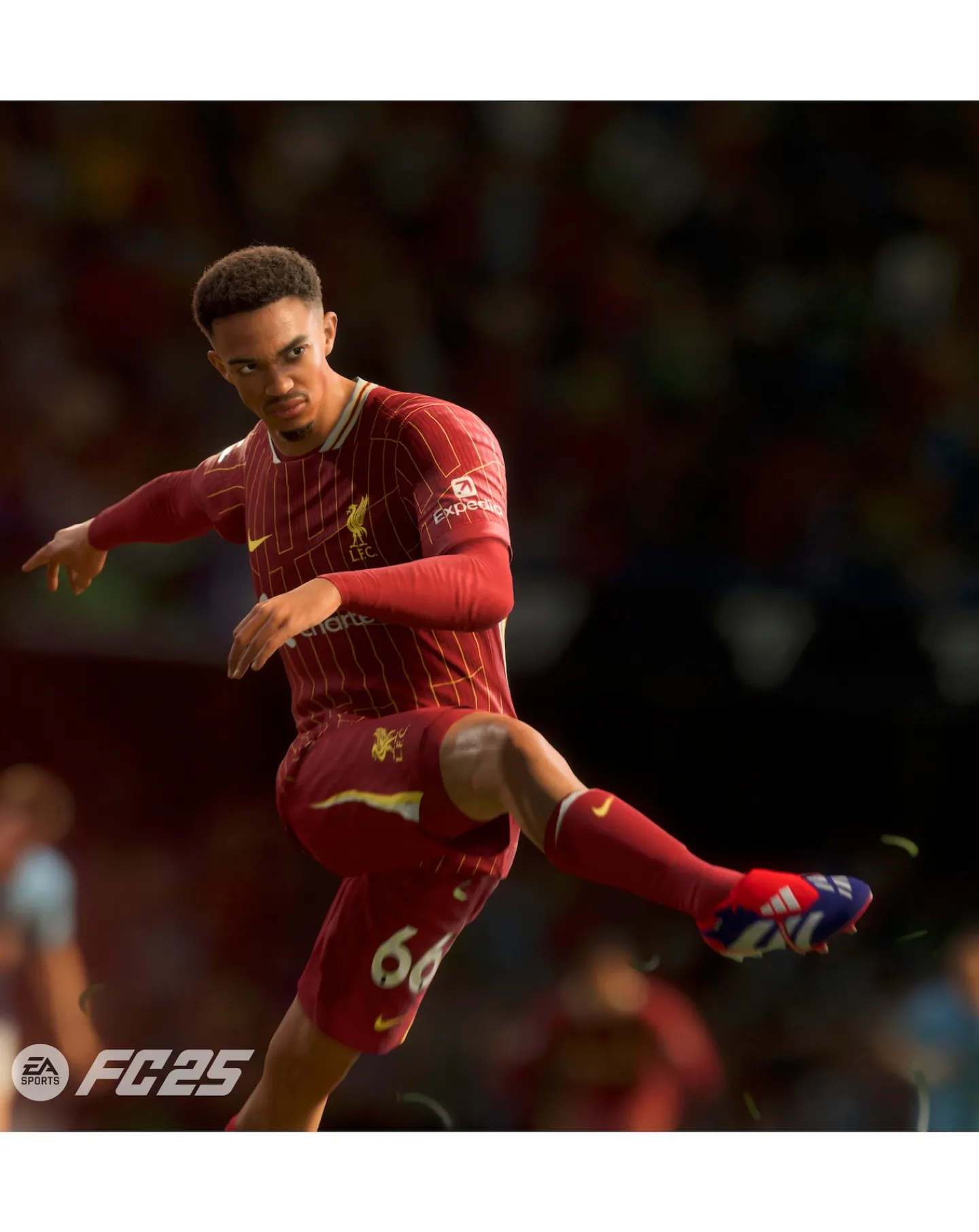 Nintendo EA Sports FC 25 ( Switch)