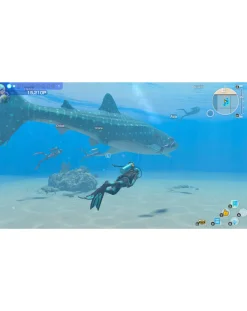 Nintendo Endless Ocean Luminous ( Switch)