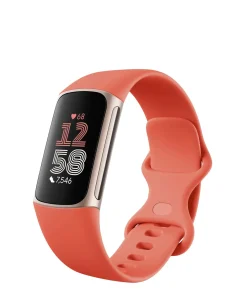 Fitbit Charge 6 Smart Watch Coral / Champagne Gold