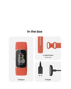 Fitbit Charge 6 Smart Watch Coral / Champagne Gold