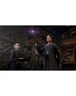 Nintendo Hogwarts Legacy: Standard Edition ( Switch)