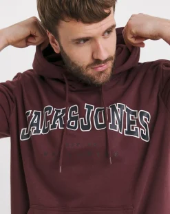 JACK & JONES Jack & Jones Caleb Varsity Sweat Hoody
