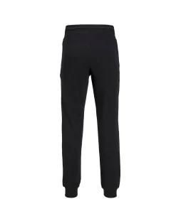 JACK & JONES Jack & Jones Gordon Swift Sweat Pants