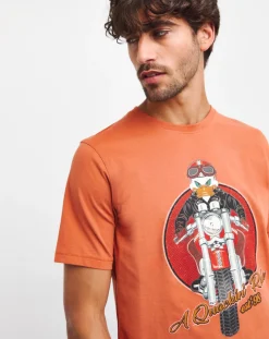 Joe Browns 3 Pack Long Length T-Shirts
