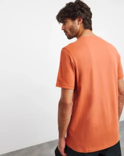 Joe Browns 3 Pack Long Length T-Shirts