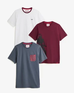 Joe Browns 3 Pack T-Shirt