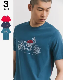 Joe Browns 3 Pack T-Shirts