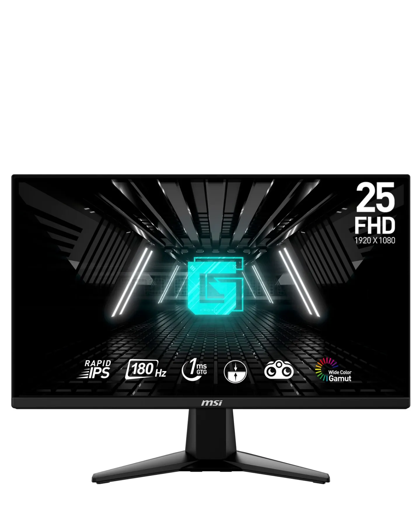 MSI G255F 24.5in IPS 165Hz 1ms Anti- Glare Gaming Monitor