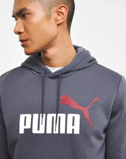 Puma Essentials Big Logo Hoodie