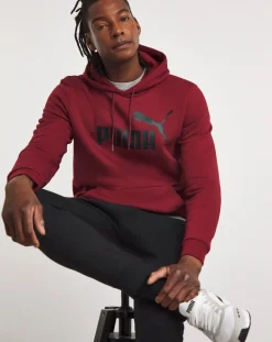 Puma Essentials Big Logo Hoodie