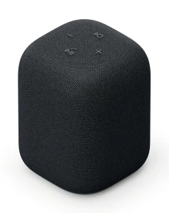 Sony LinkBuds Wireless Portable Speaker -