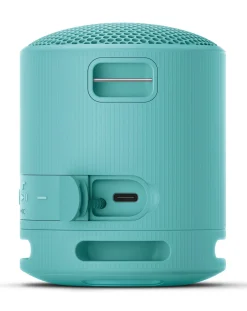Sony SRS-XB100 Portable Wireless Speaker - Blue