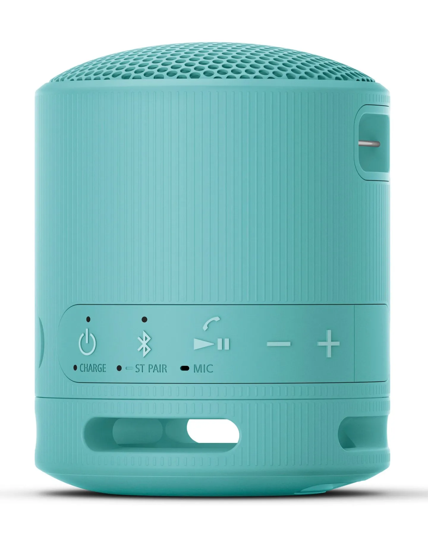 Sony SRS-XB100 Portable Wireless Speaker - Blue