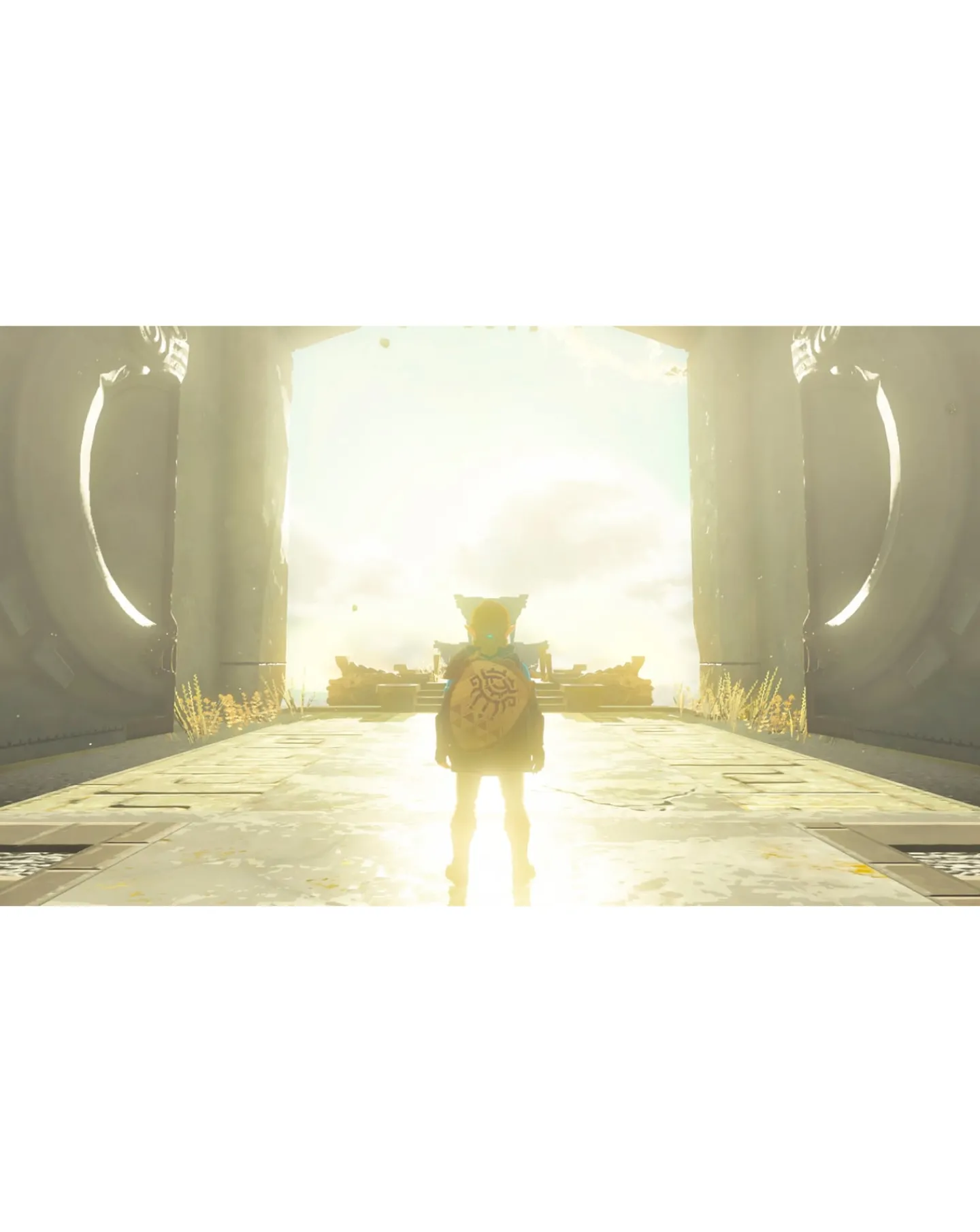 Nintendo The Legend Of Zelda: Tears Of The Kingdom ( Switch)