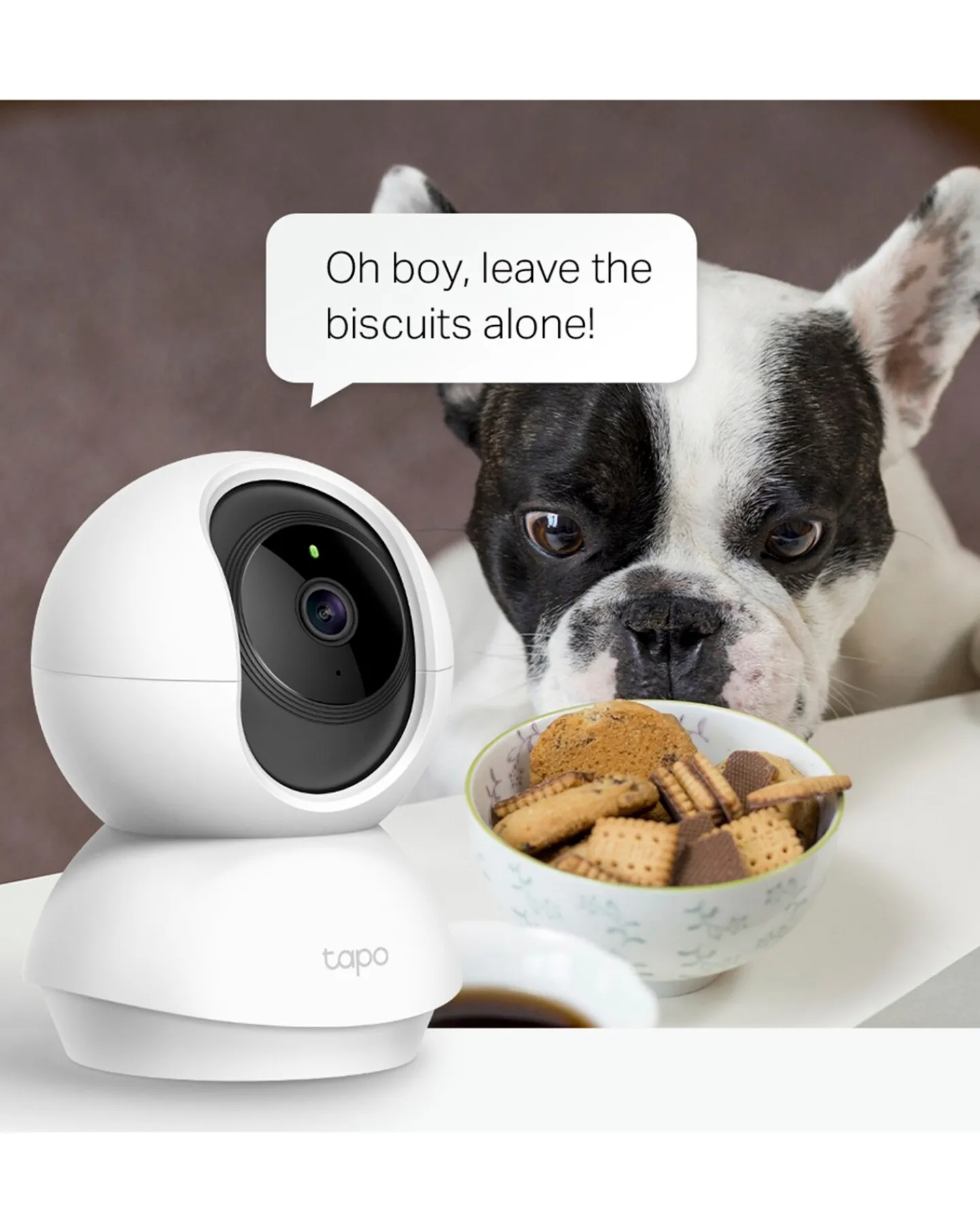 TP-Link Tapo C200 1080p Indoor Pan/Tilt Smart Camera